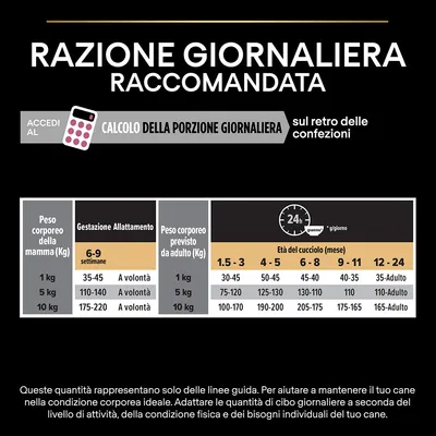 Tabella razione giornaliera raccomandata: quantità in grammi per peso corporeo e fase (gestazione, allattamento, età cucciolo 1,5–24 mesi). Indicazioni su adattamento alle esigenze del cane.