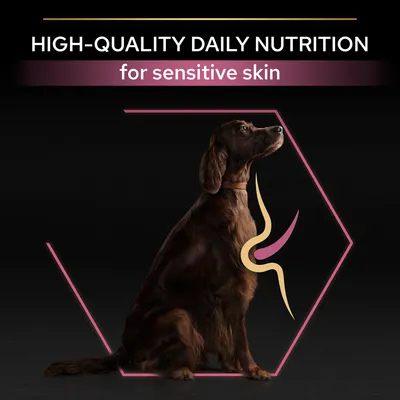 Testo in inglese: HIGH-QUALITY DAILY NUTRITION for sensitive skin, cane seduto con grafica stilizzata sul corpo.