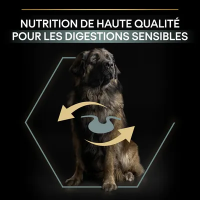 NUTRITION DE HAUTE QUALITÉ POUR LES DIGESTIONS SENSIBLES, texte en haut de l’image avec un grand chien et un pictogramme d’estomac entouré de flèches jaunes.