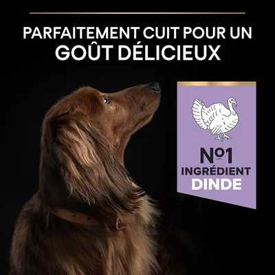 Parfaitement cuit pour un goût délicieux. N°1 ingrédient dinde.