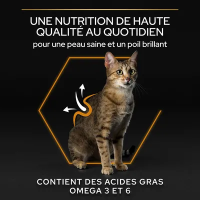 UNE NUTRITION DE HAUTE QUALITÉ AU QUOTIDIEN pour une peau saine et un poil brillant. CONTIENT DES ACIDES GRAS OMEGA 3 ET 6