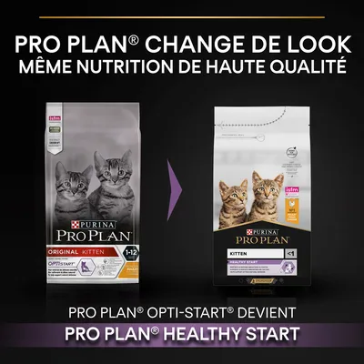 Changement de packaging : croquettes chaton Purina Pro Plan Original Kitten Opti-Start devient Pro Plan Kitten Healthy Start. Même nutrition, nouveau look. Visible : sacs anciens et nouveaux.