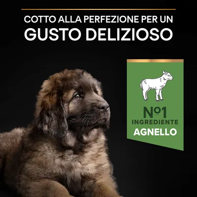 Cotto alla perfezione per un gusto delizioso. N°1 ingrediente agnello.