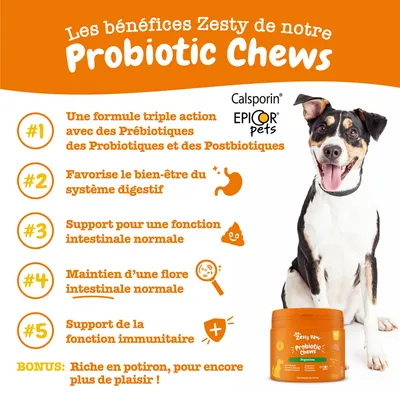 Les bénéfices Zesty de notre Probiotic Chews : formule triple action, bien-être digestif, fonction intestinale et immunitaire, riche en potiron. Calsporin, Epicor Pets visibles.