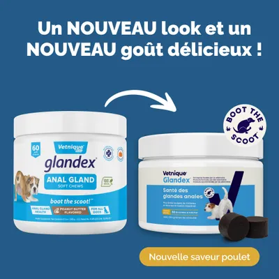 Glandex Friandises à mâcher pour les glandes anales Glandex Friandises à mâcher pour les glandes anales