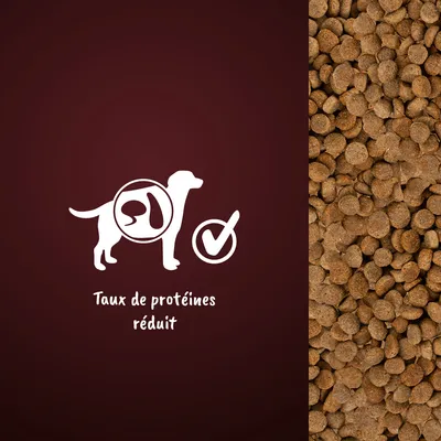 Taux de protéines réduit, texte avec silhouette de chien et croquettes visibles à droite