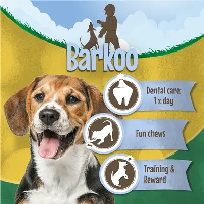 Barkoo. Dental care: 1 x day. Fun chews. Training & Reward. Kuvassa koira ja siluetti henkilöstä koiran kanssa taustalla.