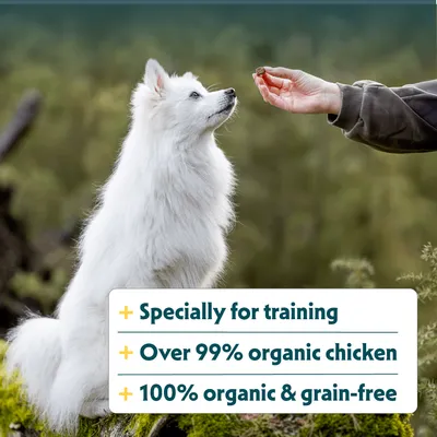 Specielt til træning, over 99% økologisk kylling, 100% økologisk og kornfri. Hunden får godbidderne direkte fra hånden. Specielt til træning, over 99% økologisk kylling, 100% økologisk og kornfri. Hunden får godbidderne direkte fra hånden.