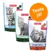 Beaphar snacks para gatos - Pack de degustação misto