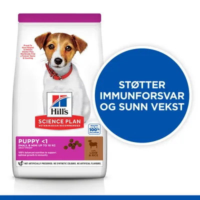 Hill`s Science Plan Puppy Small & Mini Lam & Ris