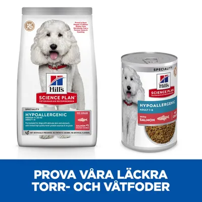 Hill's Science Plan Hypoallergenic torrfoder och våtfoder för hund, synlig text: 'NO GRAIN', 'WITH SALMON'. Text nedtill: Prova våra läckra torr- och våtfoder.