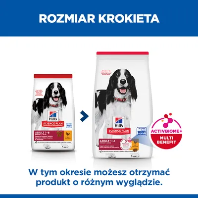 Hill's Science Plan Adult 1–6 Medium, z kurczakiem