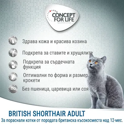 CONCEPT FOR LIFE. Здрава кожа и красива козина, подкрепа за ставите и хрущялите, сърдечната функция, оптимални крокети, без пшеница, царевица или соя. BRITISH SHORTHAIR ADULT.