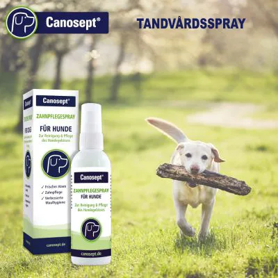 Canosept Zahnpflegespray für Hunde, sprayflaska och förpackning med text om fräsch andedräkt, tandhygien och förbättrad munhälsa. Text: TANDVÅRDSSPRAY.