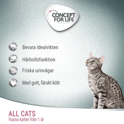 CONCEPT FOR LIFE. Bevara idealvikten, hårbollsfunktion, friska urinvägar, med gott, färskt kött. ALL CATS Vuxna katter från 1 år. Bild på grå katt.