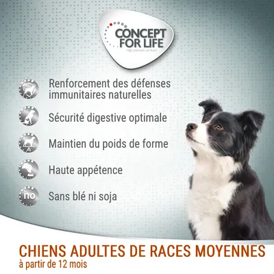 Concept for Life. Renforcement des défenses immunitaires naturelles, sécurité digestive optimale, maintien du poids de forme, haute appétence, sans blé ni soja. Chiens adultes de races moyennes à partir de 12 mois.