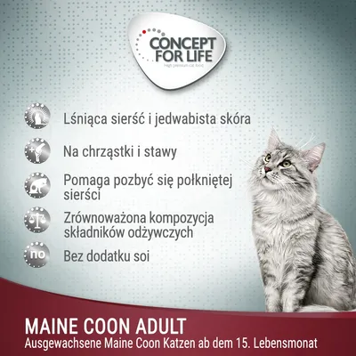 Concept for Life Maine Coon Adult. Lśniąca sierść, zdrowa skóra, na chrząstki i stawy, pomaga pozbyć się połkniętej sierści, zrównoważone składniki, bez soi. Dla dorosłych kotów Maine Coon.