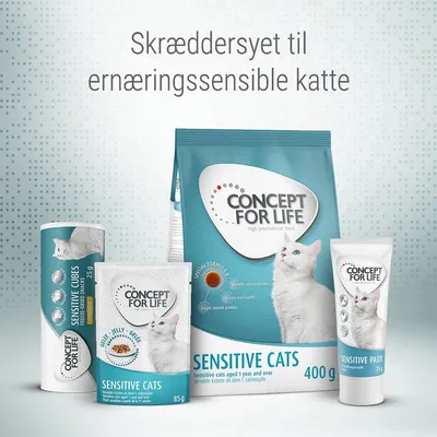 CONCEPT FOR LIFE Sensitive Cats kattefoder og snacks, 400 g tørfoder, 85 g gelé, 75 g cubes, 75 g paste. Tekst: Skræddersyet til ernæringssensible katte.