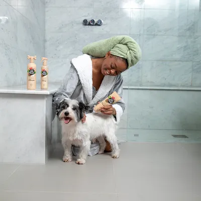 Prodotti per la cura del cane di Pet Head: shampoo e balsamo. Cane trattato con balsamo, due flaconi di shampoo sul ripiano.