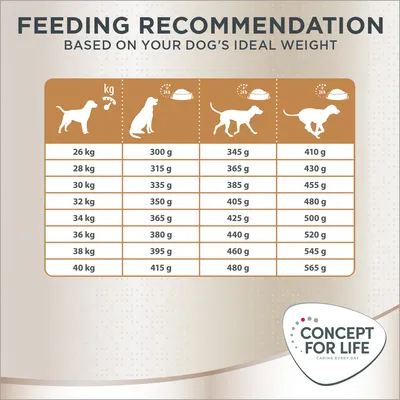 Feeding guide for Concept for Life dog food: daily grams by weight from 26 kg 300 g to 40 kg 415 g, with columns for different activity levels. Brand logo bottom right.