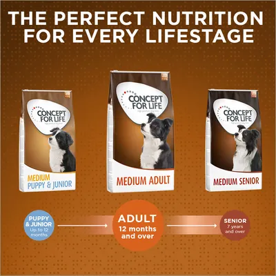 Tri pakiranja Concept for Life pseće hrane: Medium Puppy & Junior, Medium Adult, Medium Senior. Prikaz dobi: Puppy & Junior do 12 mjeseci, Adult od 12 mjeseci, Senior od 7 godina.