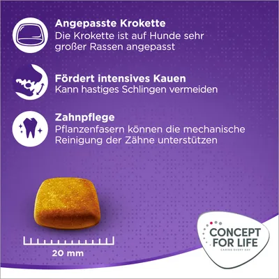 Texte en allemand : croquette adaptée aux grands chiens, favorise la mastication, fibres végétales pour l’hygiène dentaire. Croquette carrée de 20 mm. Marque Concept for Life.