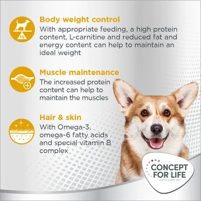 Tekst na engleskom: Body weight control, Muscle maintenance, Hair & skin. Concept for Life. Prikaz psa i ikona s opisima prednosti hrane za pse.
