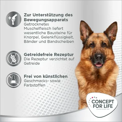 Texte en allemand : soutien de l’appareil locomoteur, recette sans céréales, sans arômes ni colorants artificiels. Marque Concept for Life. Chien berger allemand visible.