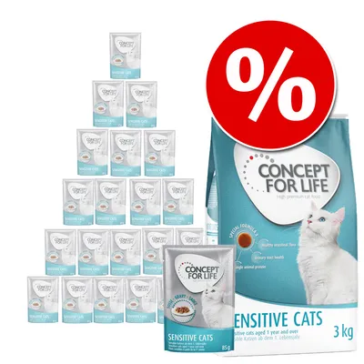 Concept for Life: 3 kg ração + 24 x 85 g comida húmida em molho - Pack misto