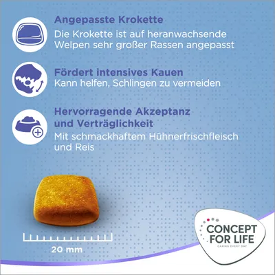 Texte en allemand : croquette adaptée pour chiots de très grandes races, favorise la mastication, acceptation et tolérance excellentes. Croquette carrée 20 mm. Marque Concept for Life.