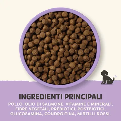Ingredienti principali: pollo, olio di salmone, vitamine e minerali, fibre vegetali, prebiotici, postbiotici, glucosammina, condroitina, mirtillo rosso. Ingredienti principali: pollo, olio di salmone, vitamine e minerali, fibre vegetali, prebiotici, postbiotici, glucosammina, condroitina, mirtillo rosso.