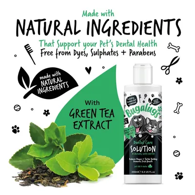 Dental care solution made with natural ingredients and green tea extract, supports pet dental health, free from dyes, sulphates and parabens, reduces plaque and tartar buildup.