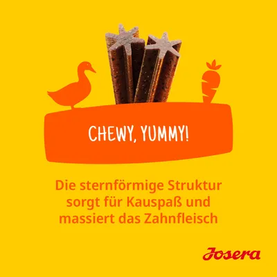 Josera Kausnack mit sternförmiger Struktur, sorgt für Kauspass und massiert das Zahnfleisch. Text: Chewy, Yummy!