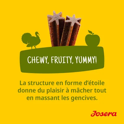 Josera. Chewy, Fruity, Yummy! La structure en forme d’étoile donne du plaisir à mâcher tout en massant les gencives. Texte principal en anglais, explication en français.