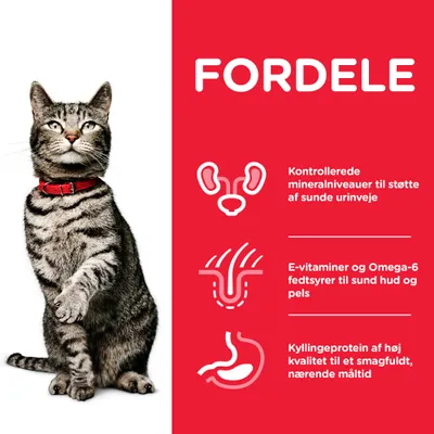 FORDELE: Kontrollerede mineralniveauer til støtte af sunde urinveje, E-vitaminer og Omega-6 fedtsyrer til sund hud og pels, kyllingeprotein af høj kvalitet til et smagfuldt, nærende måltid.