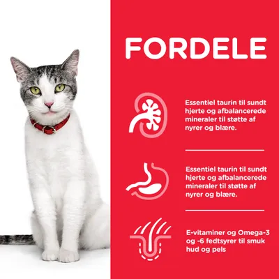 FORDELE: Essentiel taurin til sundt hjerte og afbalancerede mineraler til støtte af nyrer og blære. E-vitaminer og Omega-3 og -6 fedtsyrer til smuk hud og pels.