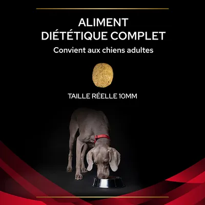 Aliment diététique complet, convient aux chiens adultes, taille réelle 10 mm. Croquette montrée et chien adulte gris avec collier rouge mangeant dans une gamelle métallique.