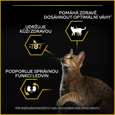 Text v češtine: Pomáhá zdravě dosáhnout optimální váhy, udržuje kůži zdravou, podporuje správnou funkci ledvin. Mačka na čiernom pozadí s ikonami.