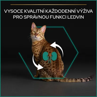 Text v češtine: VYSOCE KVALITNÍ KAŽDODENNÍ VÝŽIVA PRO SPRÁVNOU FUNKCI LEDVIN, obrázok mačky s grafickým znázornením obličiek a šípok na tele.