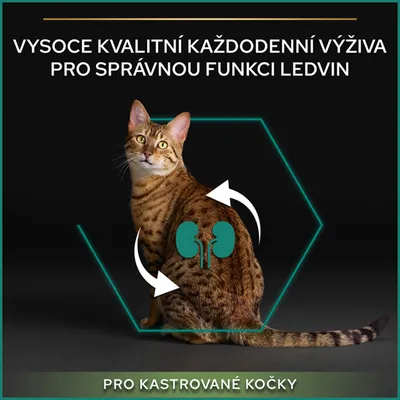 Text v češtine: Vysocé kvalitní každodenní výživa pro správnou funkci ledvin. Pro kastrované kočky. Obrázok mačky s grafickým znázornením obličiek.