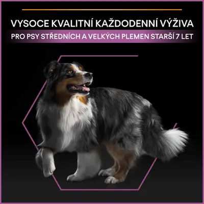 VYSOCE KVALITNÍ KAŽDODENNÍ VÝŽIVA PRO PSY STŘEDNÍCH A VELKÝCH PLEMEN STARŠÍ 7 LET, text v češtine s obrázkom stredne veľkého psa na čiernom pozadí.