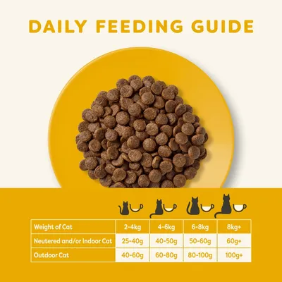 Tabela dziennego dawkowania karmy dla kota: waga 2–4 kg 25–40 g, 4–6 kg 40–50 g, 6–8 kg 50–60 g, 8 kg+ 60 g+. Koty wychodzące: 2–4 kg 40–60 g, 4–6 kg 60–80 g, 6–8 kg 80–100 g, 8 kg+ 100 g+.
