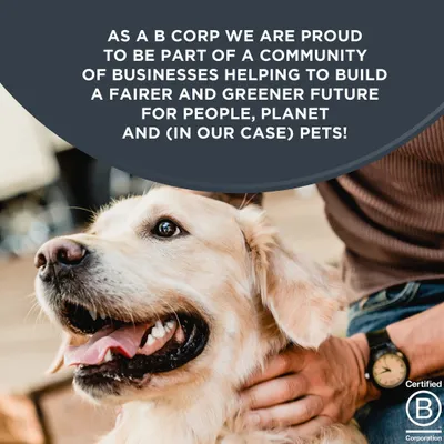 Encore Dose Mix u juhi 8 x 156 g