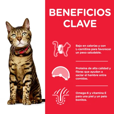 Beneficios clave: bajo en calorías y con L-carnitina, proteína de alta calidad y fibras, omega-6 y vitamina E para piel y pelo. Imagen de un gato atigrado con collar rojo.