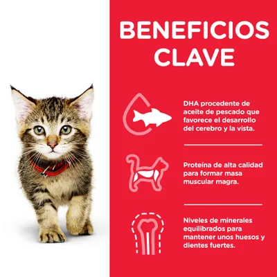 Beneficios clave: DHA de aceite de pescado para el desarrollo del cerebro y la vista, proteína de alta calidad para masa muscular magra, minerales equilibrados para huesos y dientes fuertes.