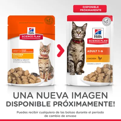 Hill's Science Plan Adult 1-6 Chicken Chunks & Gravy para gatos, imagen de dos envases diferentes. Texto: 'Disponible próximamente'. Puede recibirse cualquiera durante el cambio de envase.