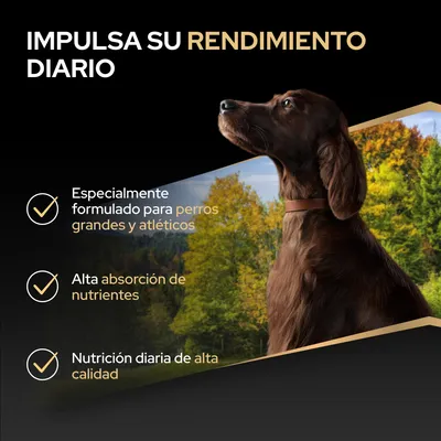 Especialmente para perros grandes y atléticos, alta absorción de nutrientes, alimentación diaria de alta calidad. Texto en español: Impulsa su rendimiento diario. Especialmente para perros grandes y atléticos, alta absorción de nutrientes, alimentación diaria de alta calidad. Texto en español: Impulsa su rendimiento diario.
