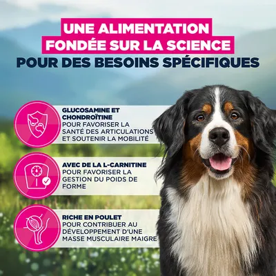 Eukanuba Special Care Sensitive Joints Adult Eukanuba Special Care Sensitive Joints Adult