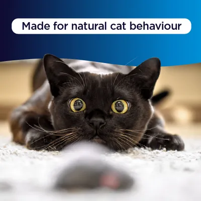 Ever Clean® Fast Acting Odour Control Clumping Cat Litter