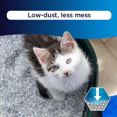 Ever Clean® Litterfree Paws Cat Litter